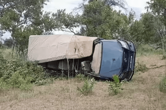 Elefante em fúria mata idosa em safári