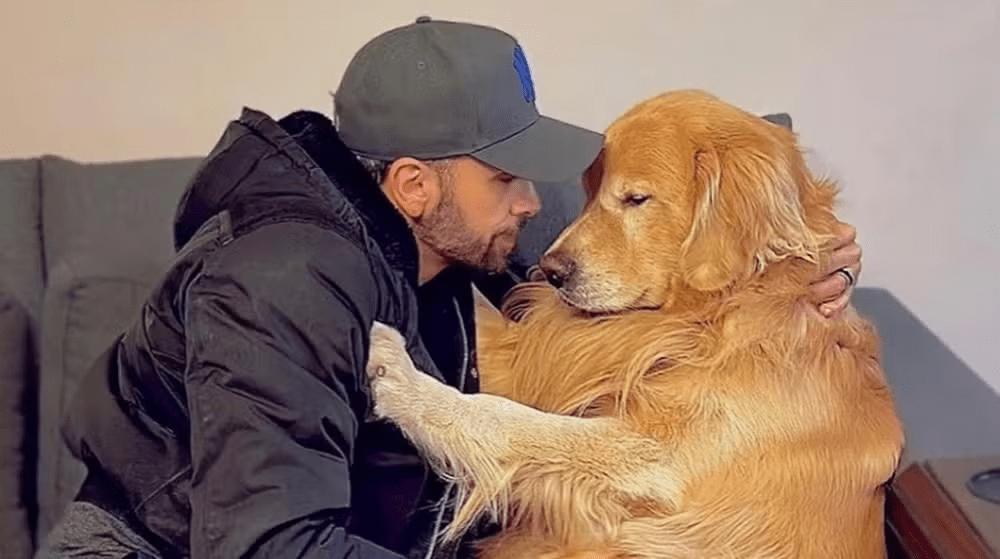 O dono de Joca é João Fantazzini (Foto: reprodução/ redes sociais)