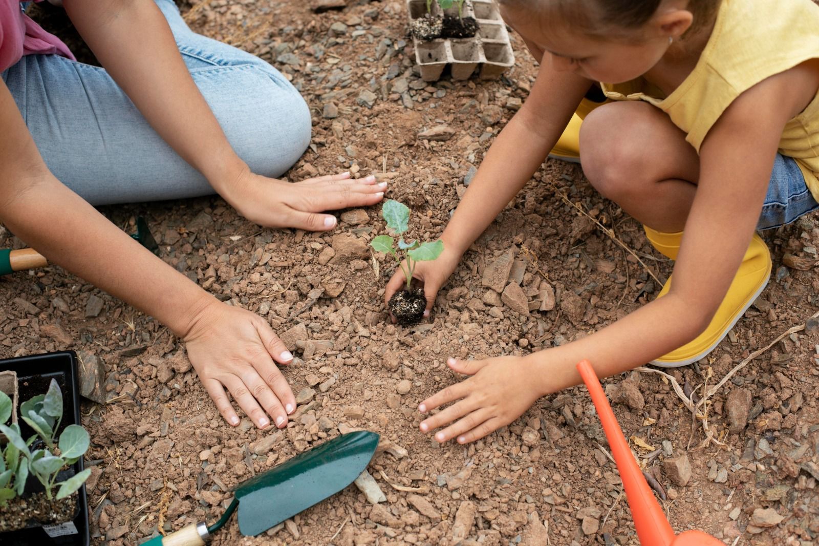 Meio Ambiente em destaque: Shopping Bosque Grão-Pará recebe selo de  sustentabilidade – Portal Guarany Júnior