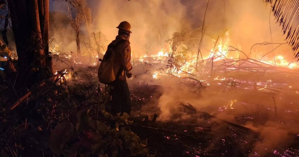 Chuva apaga incêndio na Apa Alter do Chão; imagens de satélite mostram  evolução das chamas, Santarém e Região