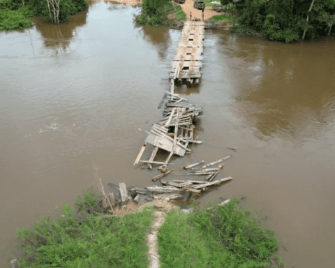 PF destrói ponte usada por invasores de terra indígena em São Félix do Xingu