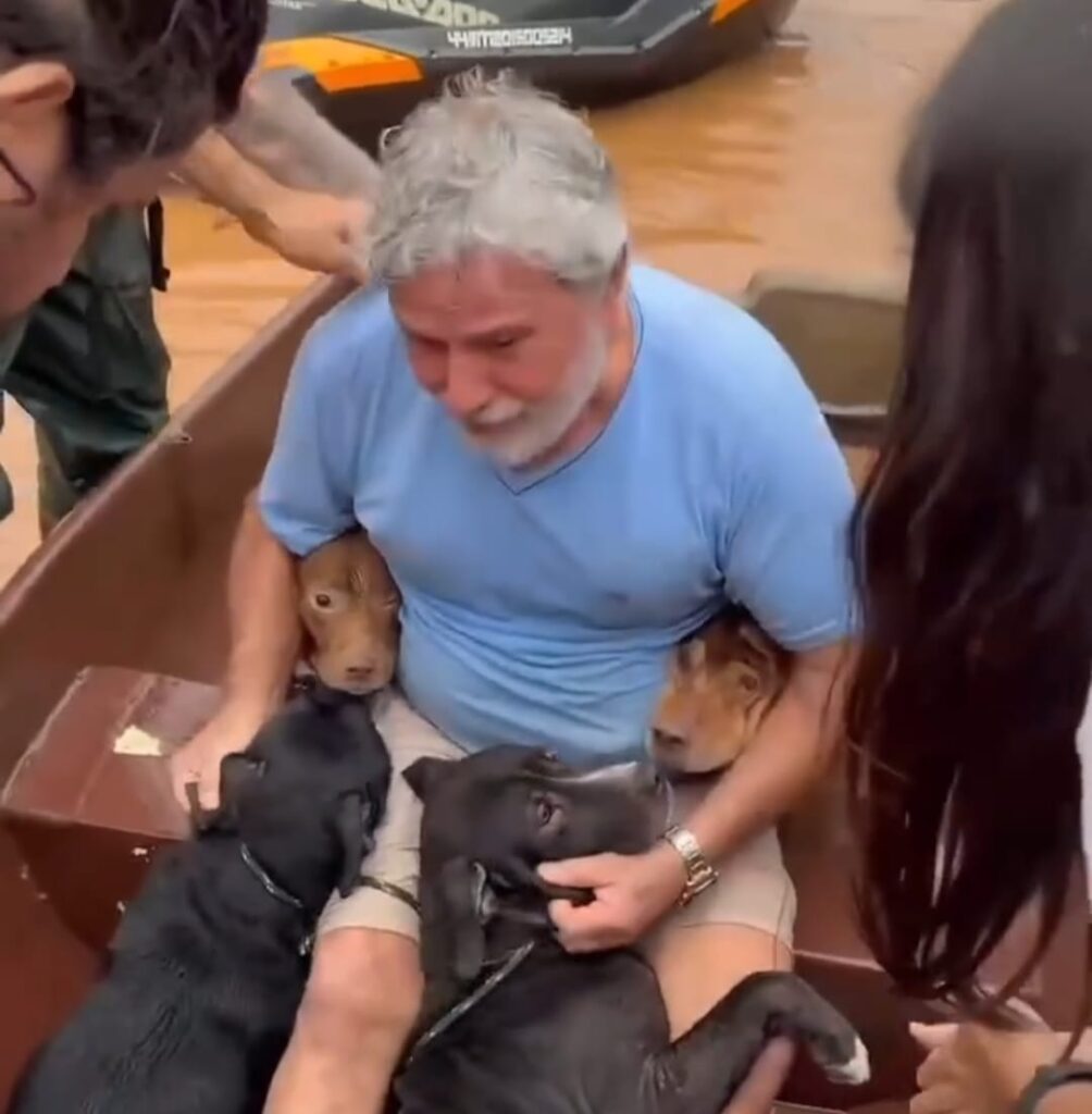 Homem se emociona ao resgatar cachorros no rio grande do sul; veja