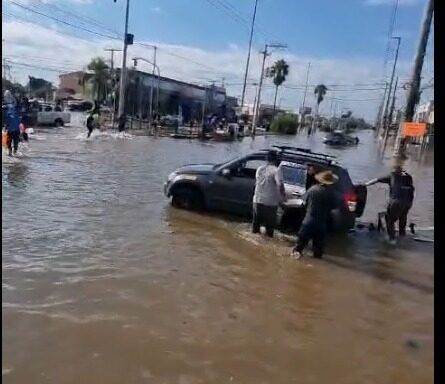 Paraense no Rio Grande do Sul