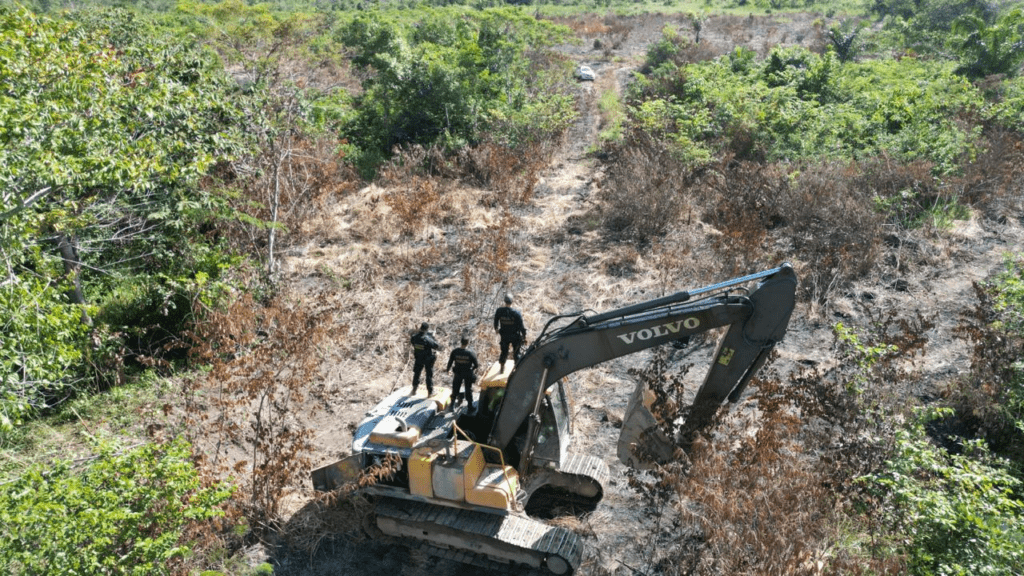 Garimpo ilegal de ouro é desfeito pela PF