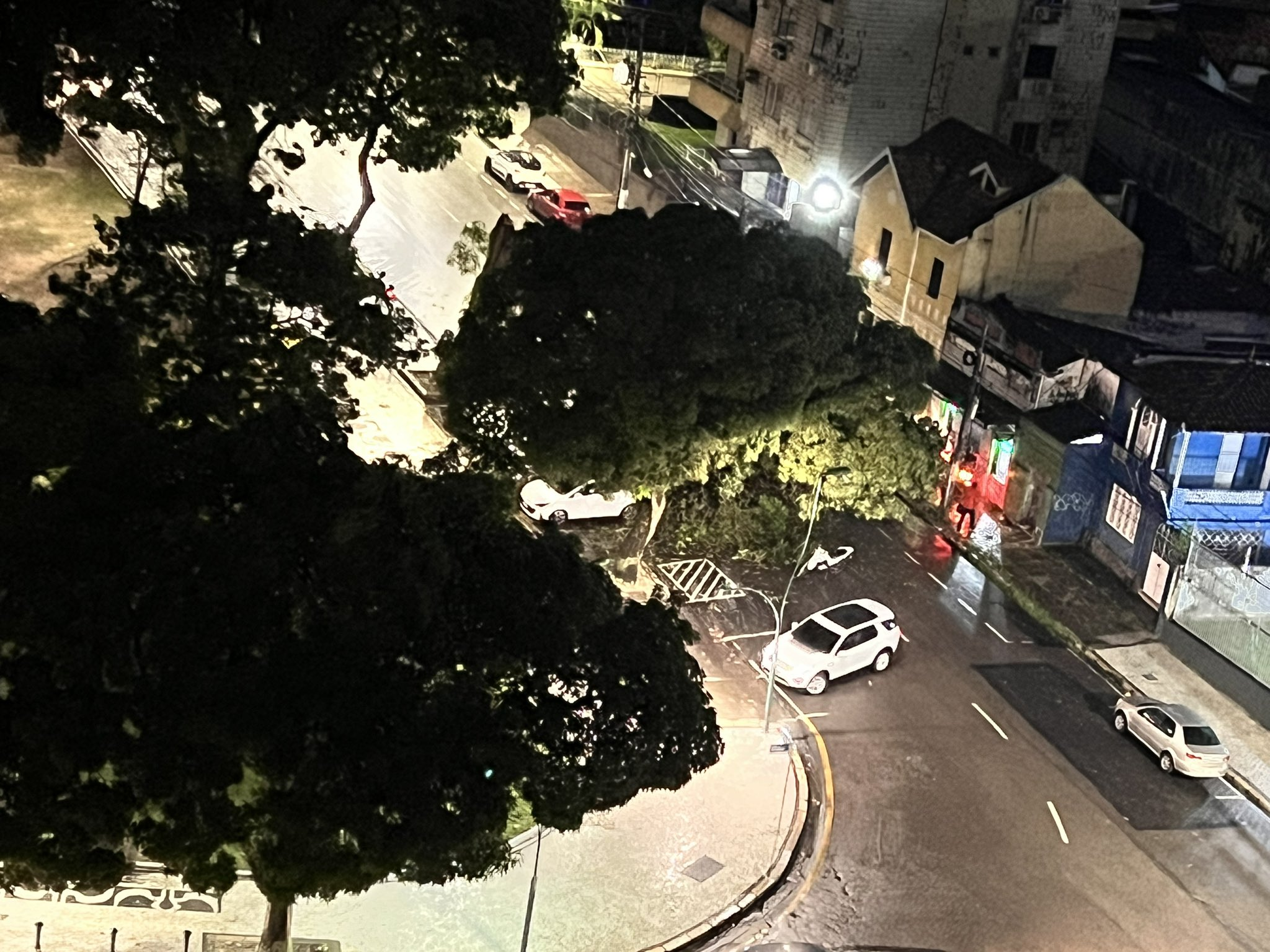 Mangueira cai durante chuva