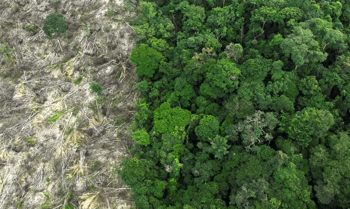 Desmatamento na Amazônia