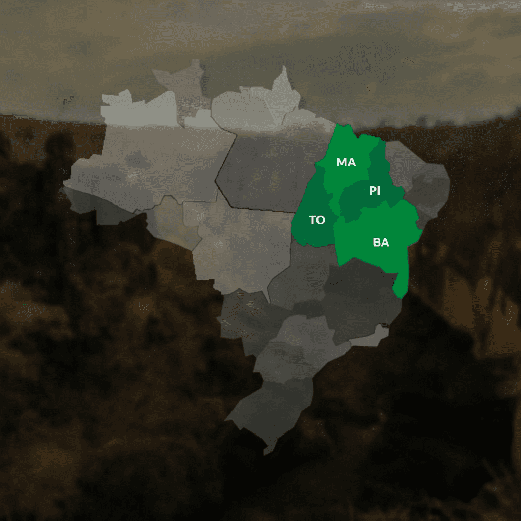 Região de Matopiba, no Cerrado