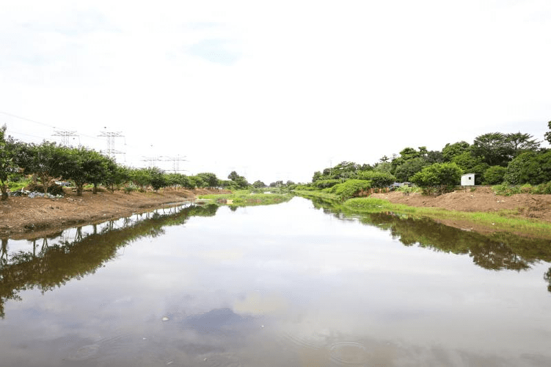 Segundo a prefeitura, será construído o Parque Agroflorestal Urbano São Joaquim, um bosque linear de 5 Km de extensão, no Canal São Joaquim
