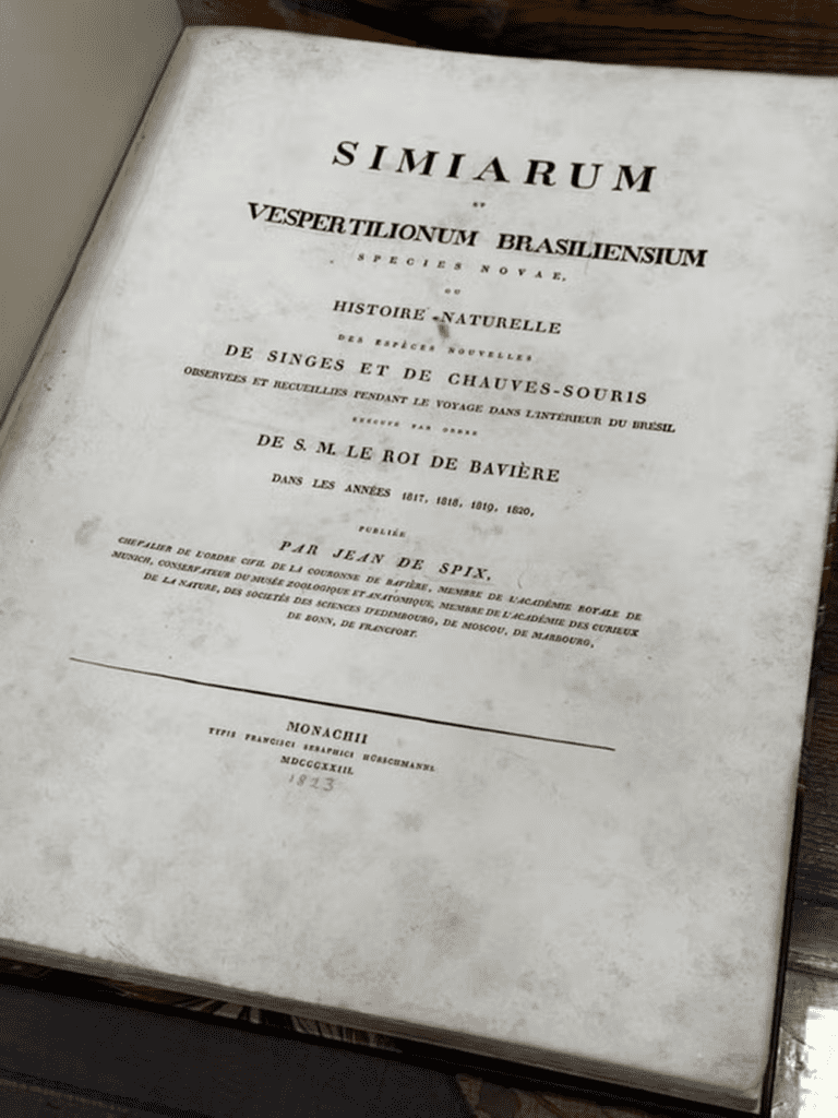 Página de livro histórico do museu Emílio Goeldi (PA) recuperado em Londres. imagem: PF.