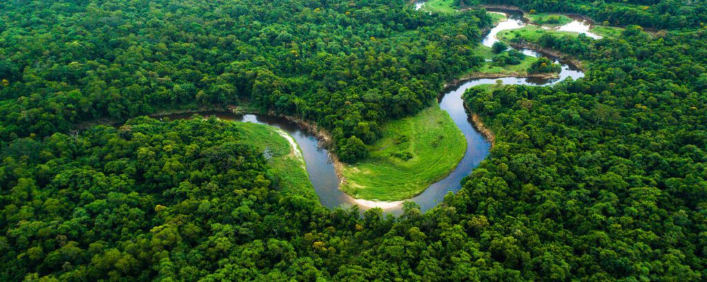 Noruega repassa mais de R$ 270 milhões ao Fundo Amazônia