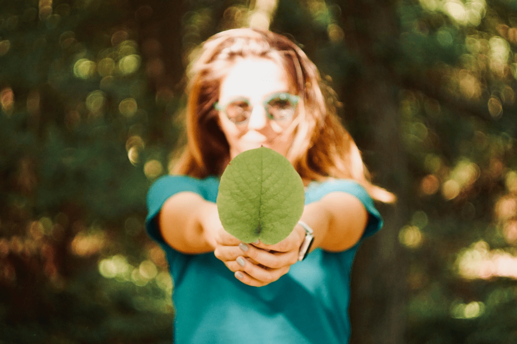 SEBRAE: oficinas gratuitas sobre sustentabilidade de inteligência emocional em Santarém e Marituba