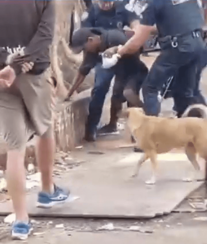 Guardas agridem homem em situação de rua em São Paulo.