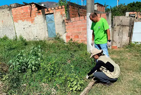 Meningite: Profissionais do IOC Fiocruz e da Suvam Nova Iguaçu em atividade de campo para coleta de caramujos no bairro Ipiranga - Fiocruz/Divulgação
