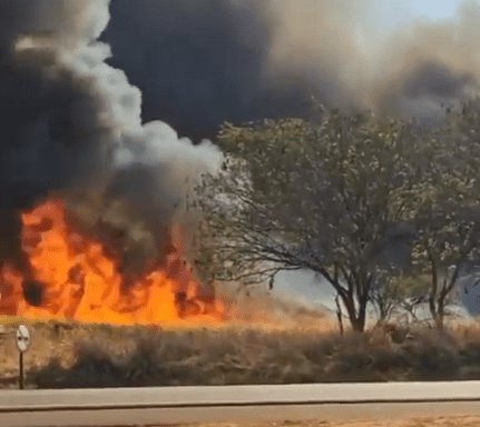 O estado de São Paulo registrou entre quinta (22) e sexta (23) 2.316 focos de incêndios.