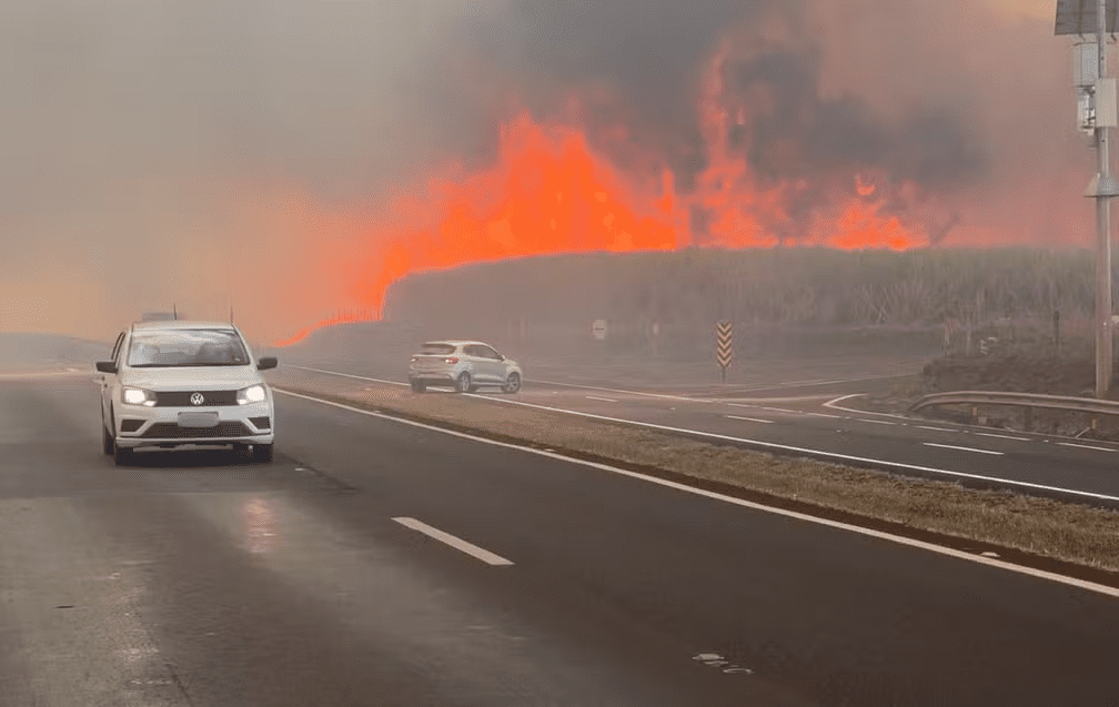  São Paulo registrou entre quinta (22) e sexta (23) 2.316 focos de incêndios. Foto: Marcelo Moraes/EPTV.