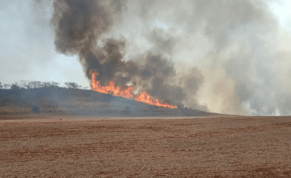 Incêndios provocam nuvens de fumaça pelo Brasil; governo de SP decreta situação de emergência - Foto: reprodução Internet 